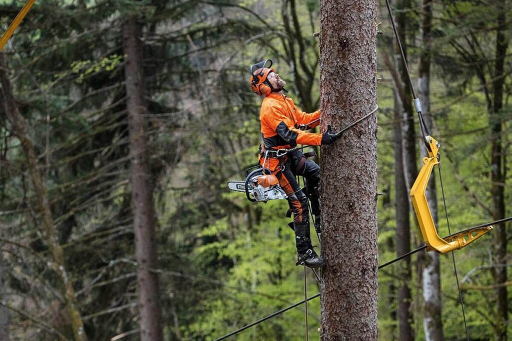 tree pruning tools