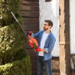 How Tree Hedging Services Can Increase Your Property’s Curb Appeal