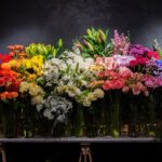 Why a Florist Lavender Bay is Perfect for Luxury Floral Gifts