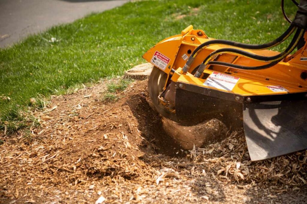 Emergency Stump Removal