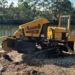 Emergency Stump Removal in Sydney: When You Can’t Wait for a Scheduled Service