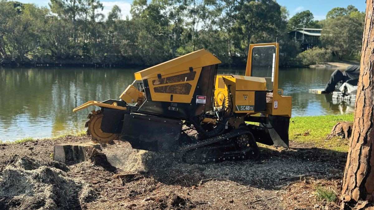 Emergency Stump Removal