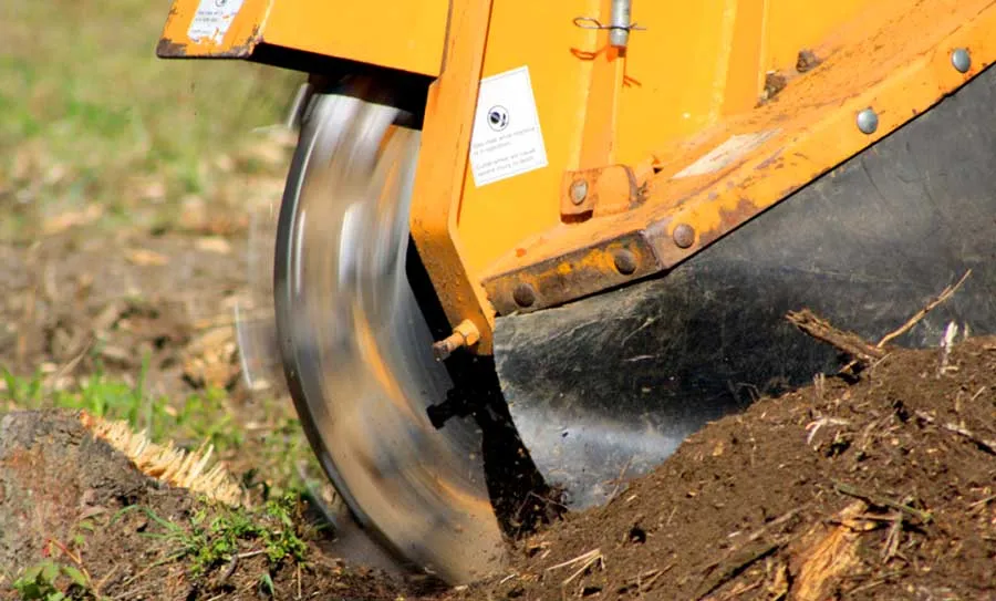 Emergency Stump Removal