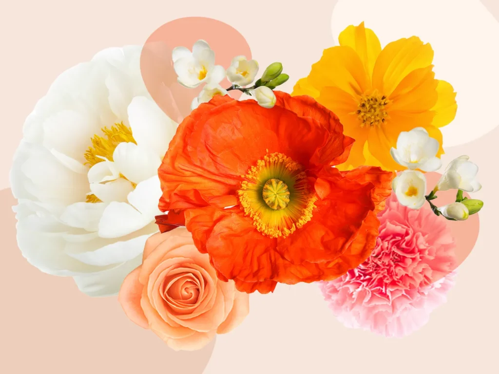 Wedding Anniversary Flowers: Celebrate the Story You Share